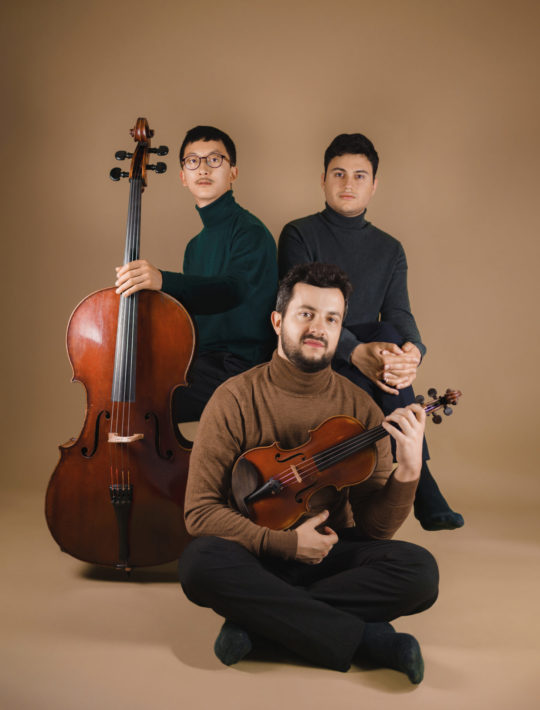 trio de musiciens violon violoncelle piano